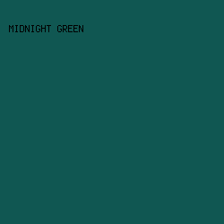 105752 - Midnight Green color image preview