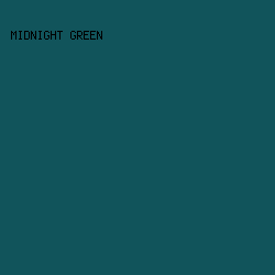 11545B - Midnight Green color image preview