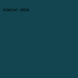 134550 - Midnight Green color image preview
