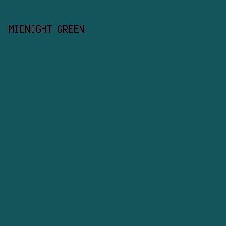 13555A - Midnight Green color image preview