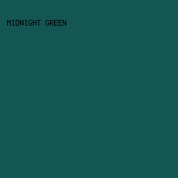 145654 - Midnight Green color image preview