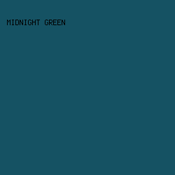155263 - Midnight Green color image preview