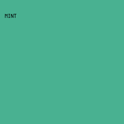 49B191 - Mint color image preview