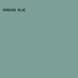 7C9F98 - Morning Blue color image preview