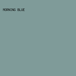 7F9B99 - Morning Blue color image preview