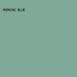 7FA998 - Morning Blue color image preview