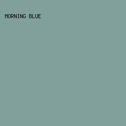 81a09c - Morning Blue color image preview