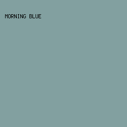 82A0A0 - Morning Blue color image preview