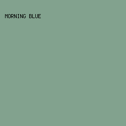 82a28e - Morning Blue color image preview