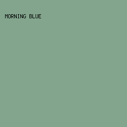 83A58D - Morning Blue color image preview