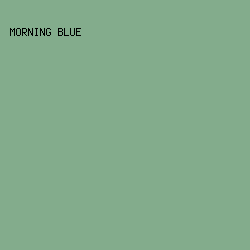 83AC8C - Morning Blue color image preview