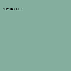 84AE9E - Morning Blue color image preview