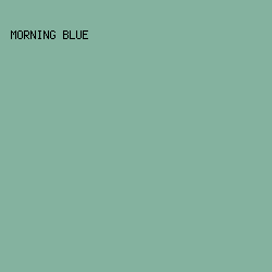 84B29F - Morning Blue color image preview