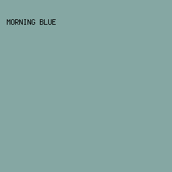 85a7a3 - Morning Blue color image preview