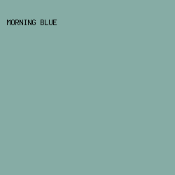 86ACA5 - Morning Blue color image preview
