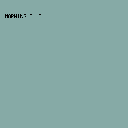 86aaa6 - Morning Blue color image preview