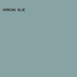 87A3A4 - Morning Blue color image preview