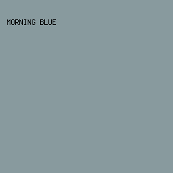889a9e - Morning Blue color image preview