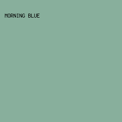 88AF9C - Morning Blue color image preview