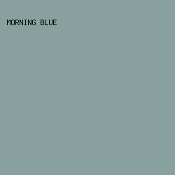 88a19e - Morning Blue color image preview