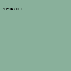 89B09B - Morning Blue color image preview