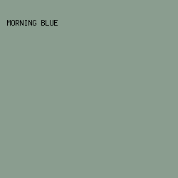 8A9D8F - Morning Blue color image preview
