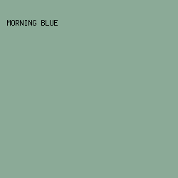 8BAA97 - Morning Blue color image preview
