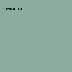 8BAC9C - Morning Blue color image preview