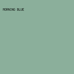 8BAF9B - Morning Blue color image preview