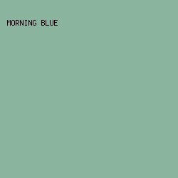 8BB49F - Morning Blue color image preview