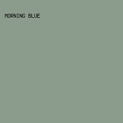 8C9C8C - Morning Blue color image preview