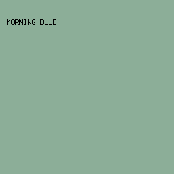 8CAE98 - Morning Blue color image preview