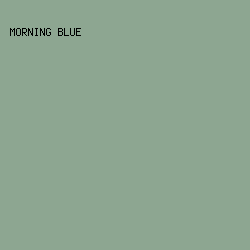 8DA691 - Morning Blue color image preview