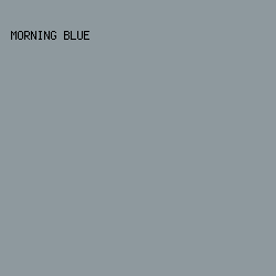 8E999E - Morning Blue color image preview