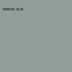 8F9F98 - Morning Blue color image preview