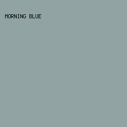 91A3A3 - Morning Blue color image preview