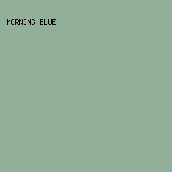 91AF99 - Morning Blue color image preview