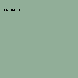91ae98 - Morning Blue color image preview
