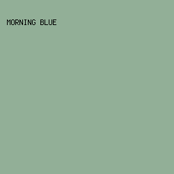 92AF97 - Morning Blue color image preview