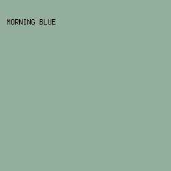 93ae9b - Morning Blue color image preview