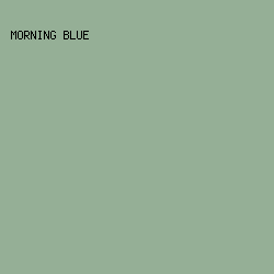 95AF96 - Morning Blue color image preview