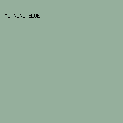 95AF9C - Morning Blue color image preview