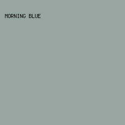 98A6A0 - Morning Blue color image preview