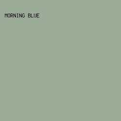 9BAB98 - Morning Blue color image preview