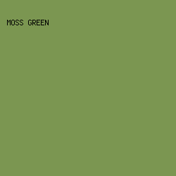 7B9651 - Moss Green color image preview
