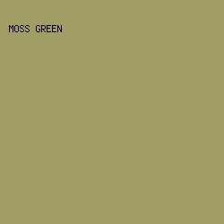 A09E65 - Moss Green color image preview