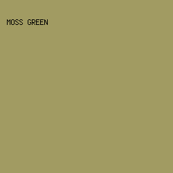 A19B62 - Moss Green color image preview