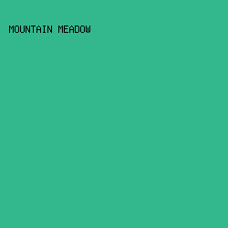 33B88E - Mountain Meadow color image preview