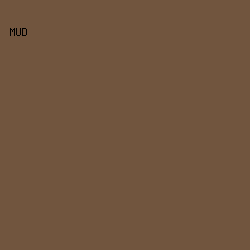 71553e - Mud color image preview