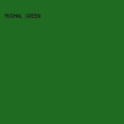 1F6B1F - Mughal Green color image preview